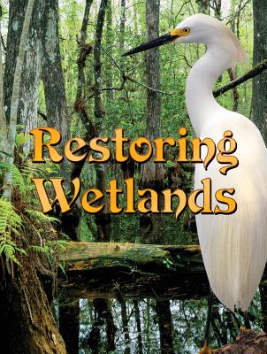 Restoring Wetlands - Sturm, Jeanne
