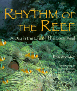 Rhythm of the Reef