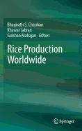 Rice Production Worldwide