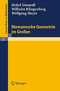 Riemannsche Geometrie Im Groen