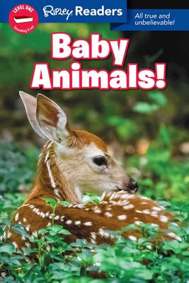 Ripley Readers Level1 Lib Edn Baby Animals! - Believe It or Not!, Ripley's