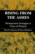 Rising from the Ashes: Development strategies in times of disaster