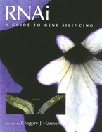 RNAi: A Guide to Gene Silencing