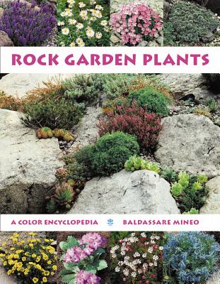 Rock Garden Plants - Mineo, Baldassare