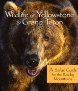 Rocky Mountain Wildlife of Yellowstone & Grand Teton National Parks