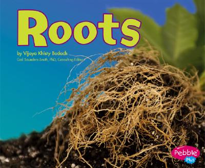 Roots - Bodach, Vijaya Khisty