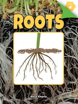 Roots - Klepeis, Alicia
