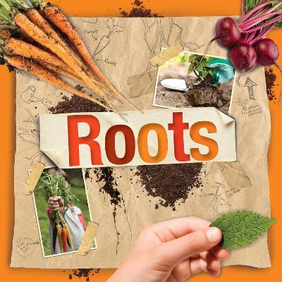 Roots - Cavell-Clarke, Steffi, and Webster-Jones, Danielle (Designer)