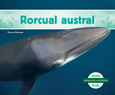 Rorcual Austral (Southern Minke Whale) - Hansen, Grace