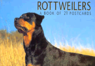 Rottweilers Postcard Book - Browntrout Publishers (Manufactured by)