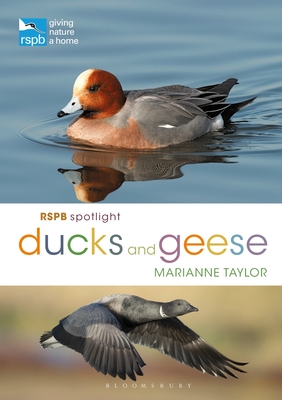 RSPB Spotlight Ducks and Geese - Taylor, Marianne, Ms.