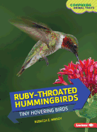 Ruby-Throated Hummingbirds: Tiny Hovering Birds