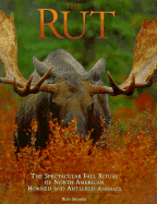 Rut: Spectacular Fall Ritual of North American Horned and Antlered Animals - Spomer, Ron
