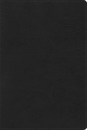 RVR 1960 Biblia de Estudio Arco Iris, negro imitacion piel c