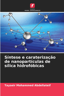 S?ntese e carateriza??o de nanopart?culas de s?lica hidrof?bicas