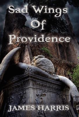 Sad Wings of Providence - Harris, James