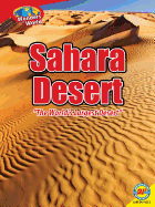 Sahara Desert: The World's Largest Desert