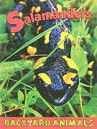 Salamanders