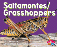 Saltamontes/Grasshoppers