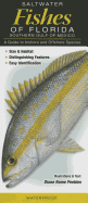 Saltwater Fishes of Florida Southrern Gulf of Mexico: A Guide to Inshore and Offshore Species