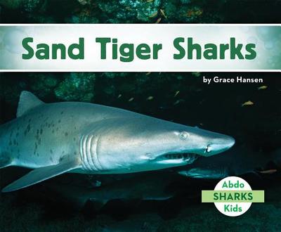 Sand Tiger Sharks - Hansen, Grace