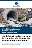 Sanit?re Grundversorgung in Goi?nia: ein Thema der ffentlichen Gesundheit