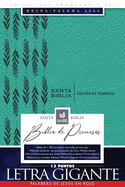 Santa Biblia de Promesas Reina-Valera 1960 / Letra Gigante - 13 Puntos / Piel Especial Con Cierre / Turquesa // Spanish Promise Bible Rvr 60 / Giant Print - 13 Points / Leathersoft with Zipper / Turquoise