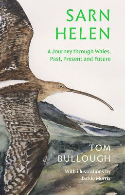 Sarn Helen: A Journey Through Wales, Past, Present and Future - Bullough, Tom