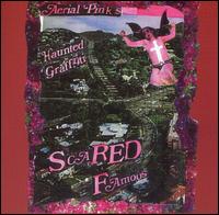 Scared Famous - Ariel Pink's Haunted Graffiti