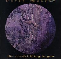 Scarlet Thing in You - Peter Murphy