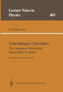 Schrdinger Operators The Quantum Mechanical Many-Body Problem: Proceedings of a Workshop Held at Aarhus, Denmark 15 May - 1 August 1991 - Balslev, Erik (Editor)