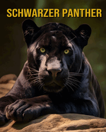 Schwarzer Panther: Ph?nomenale Fotos und faszinierende, interessante Fakten