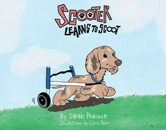 Scooter Learns to Scoot