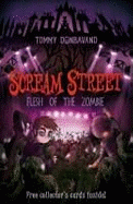 Scream Street 4: Flesh of the Zombie