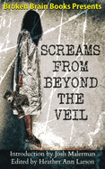 Screams From Beyond The Veil: A Horror Anthology