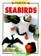 Sea Birds