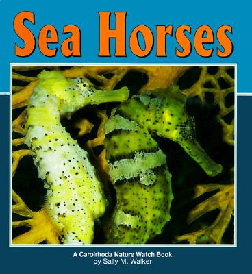 Sea Horses - Walker, Sally M