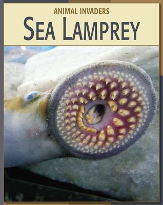 Sea Lamprey - Somervill, Barbara A