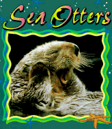 Sea Otters