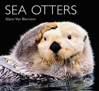 Sea Otters