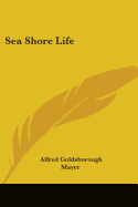 Sea Shore Life
