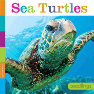 Sea Turtles