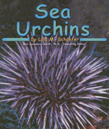 Sea Urchins - Schaefer, Lola M