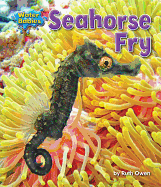 Seahorse Fry