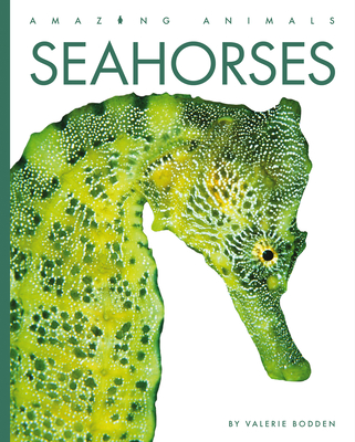 Seahorses - Bodden, Valerie