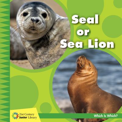 Seal or Sea Lion - Orr, Tamra