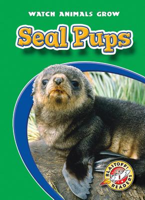 Seal Pups - Sexton, Colleen