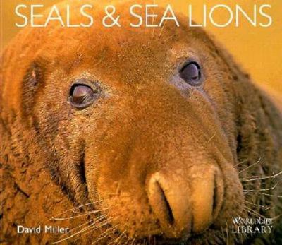 Seals and Sea Lions - Miller, David