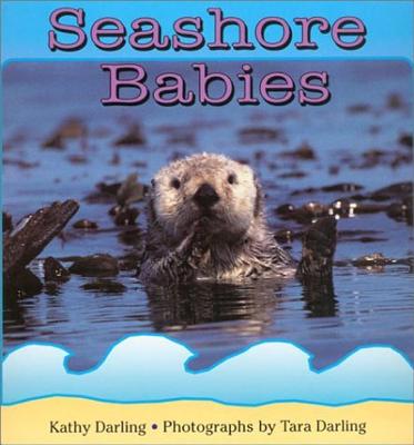 Seashore Babies - Darling, Kathy, and Darling, Tara (Photographer)