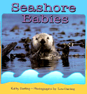 Seashore Babies - Darling, Kathy, and Darling, Tara